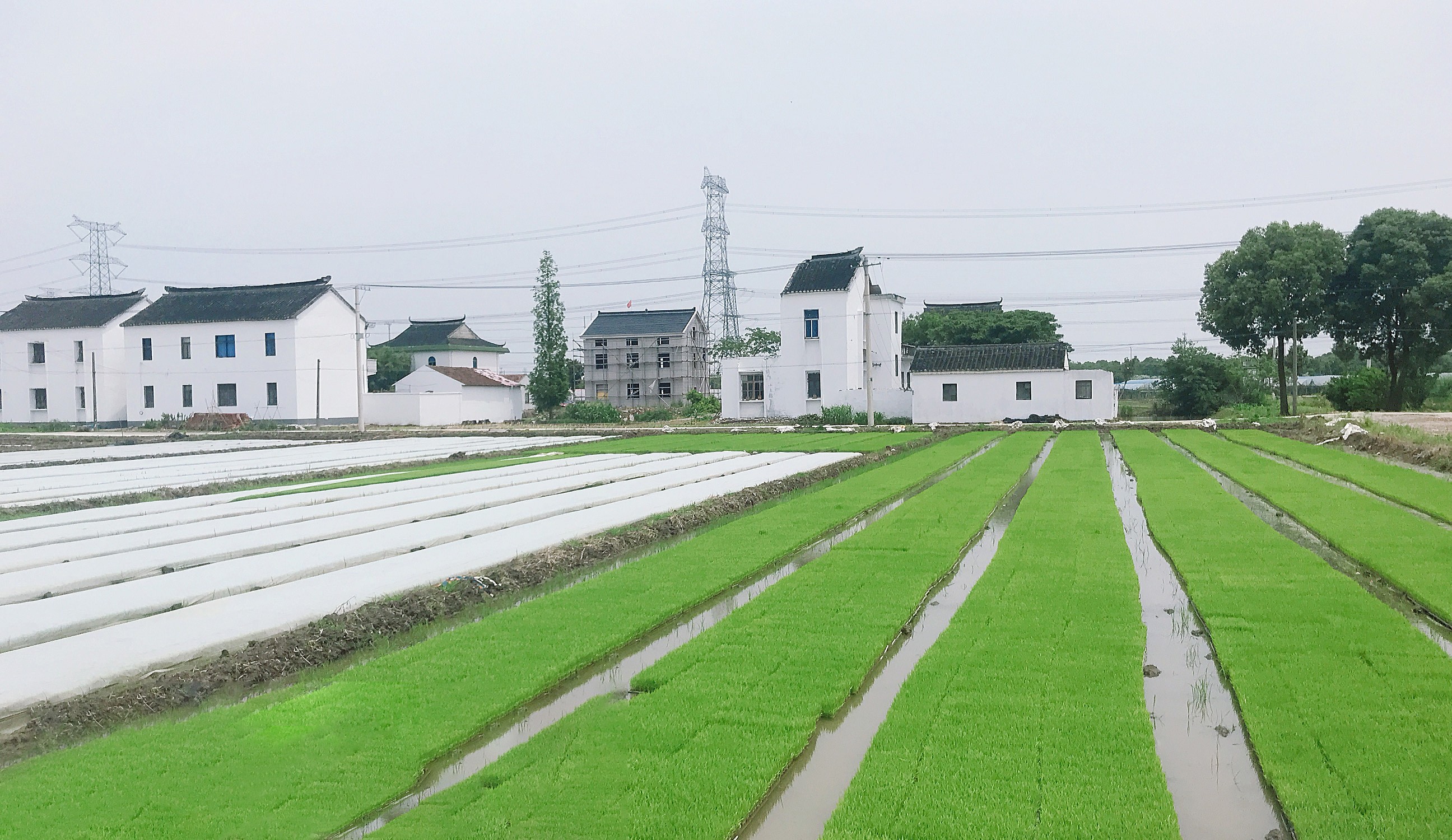 農田環境綜合治理