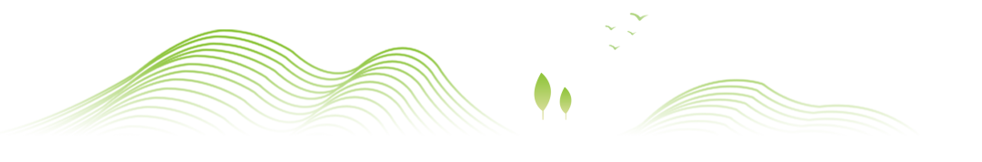 徐州市鼓樓區區委書記羅德清一行蒞臨鴻灌環境考察指導(圖2)