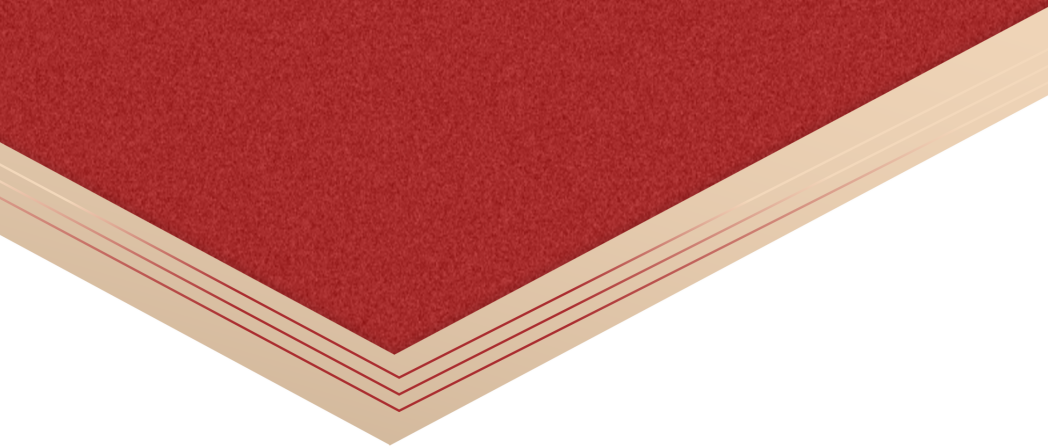 新起點 新跨越|鴻灌環境召開2024年度年終總結暨表彰大會(圖5)