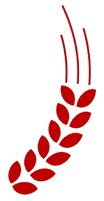 鴻灌環境喬遷新址,十載陪伴 盛啟新程 共創未來(圖27)