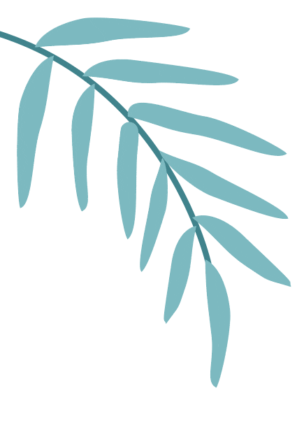 夏日送清涼 關(guān)愛沁人心(圖3)